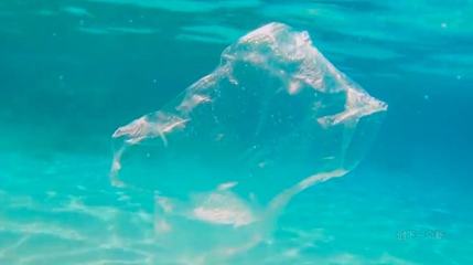 塑料杯中的蟲食革命 以生物科技終結(jié)白色污染